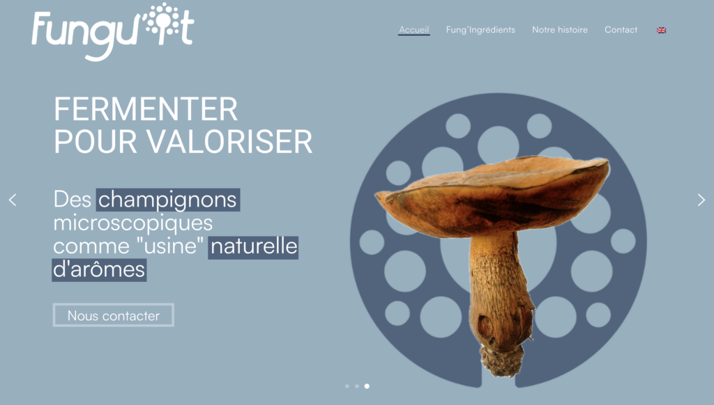 Funguit